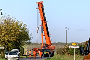 Shelter / Grues